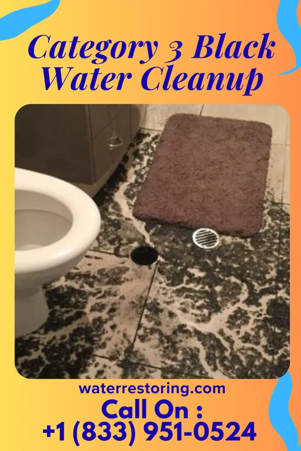 Category 3 Black Water Cleanup in Woodbury, NY