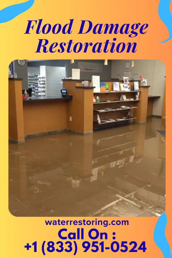 Flood Damage Restoration in Woodbury, NY