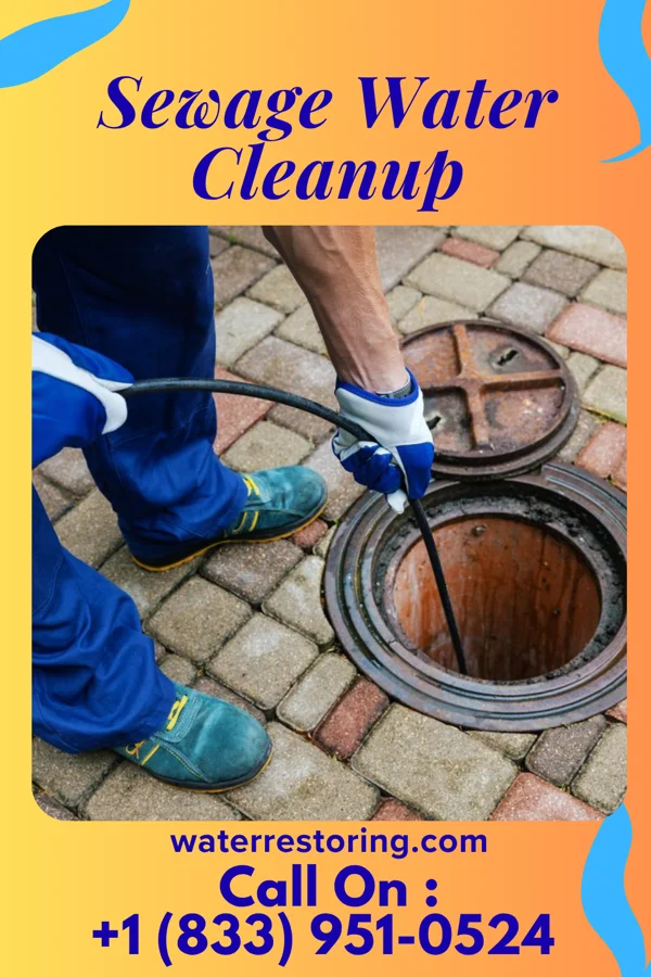 Sewage Water Cleanup in Woodbury, NY